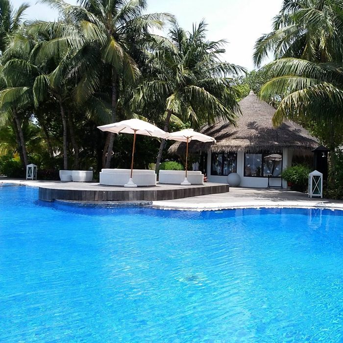 臭氧在泳池水處理中的應(yīng)用